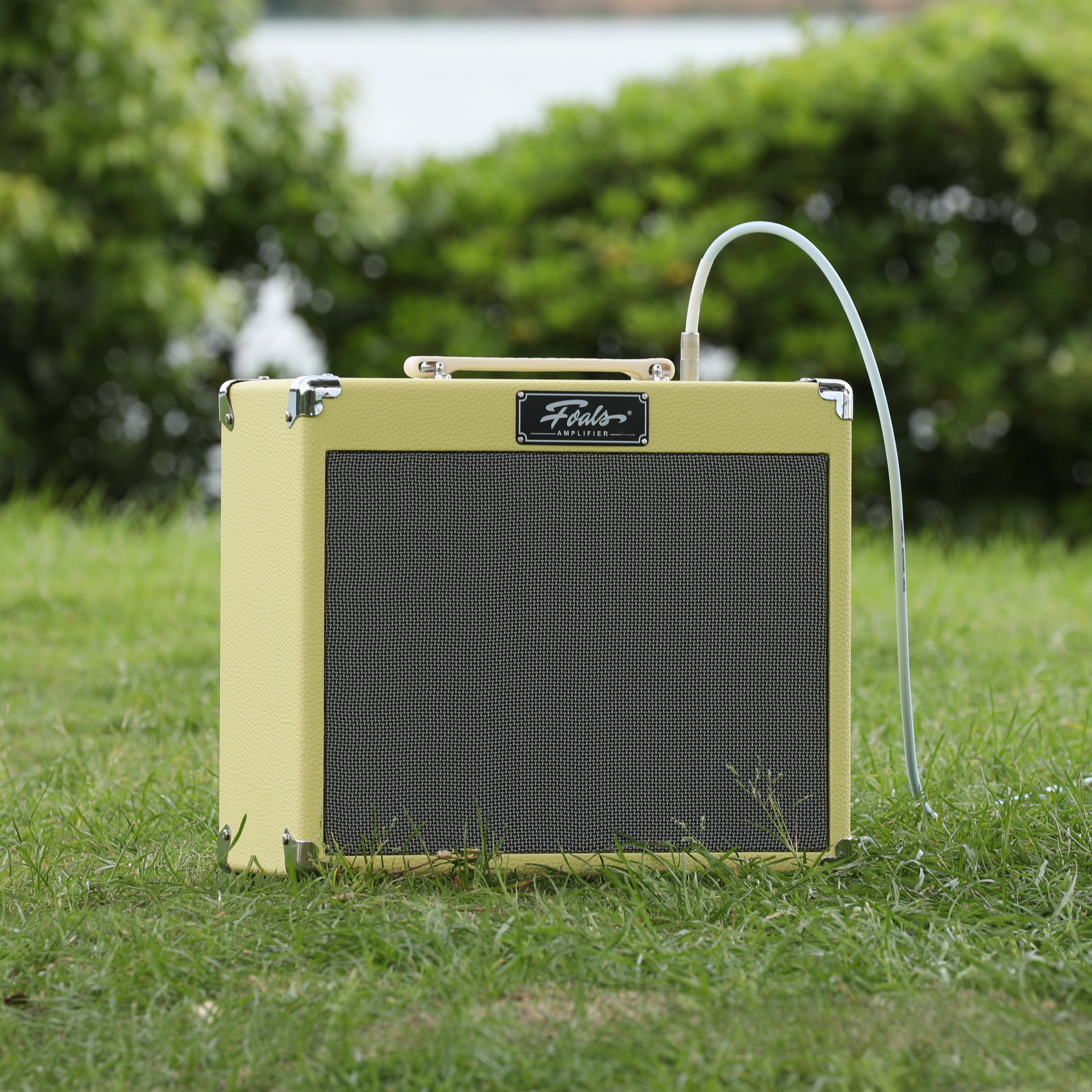 FOALS FW20 20W Electric Guitar Amp with Bluetooth – 30W Peak Power