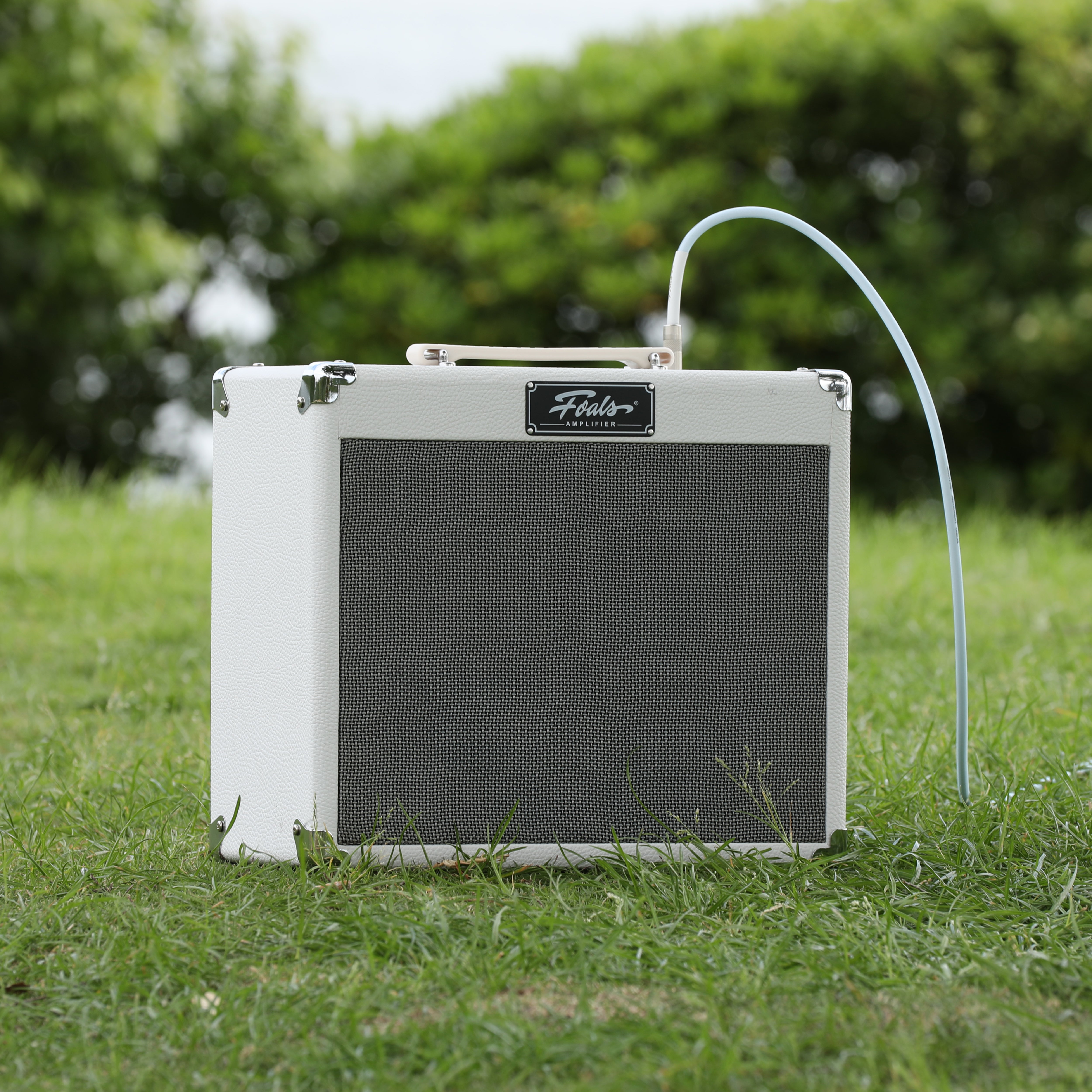 FOALS FW20 20W Electric Guitar Amp with Bluetooth – 30W Peak Power